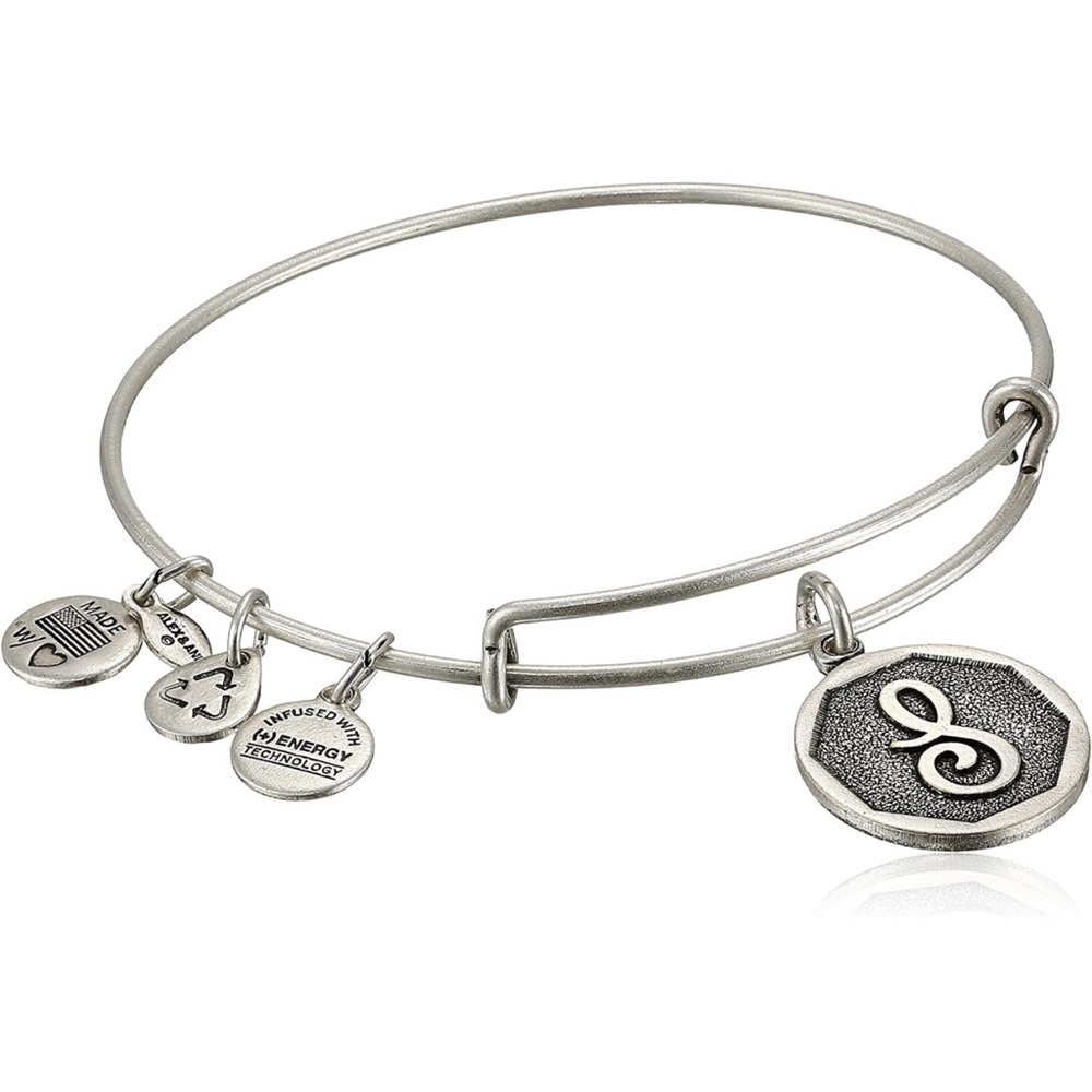 Alex & Ani S Initial Charm Bracelet c 2014